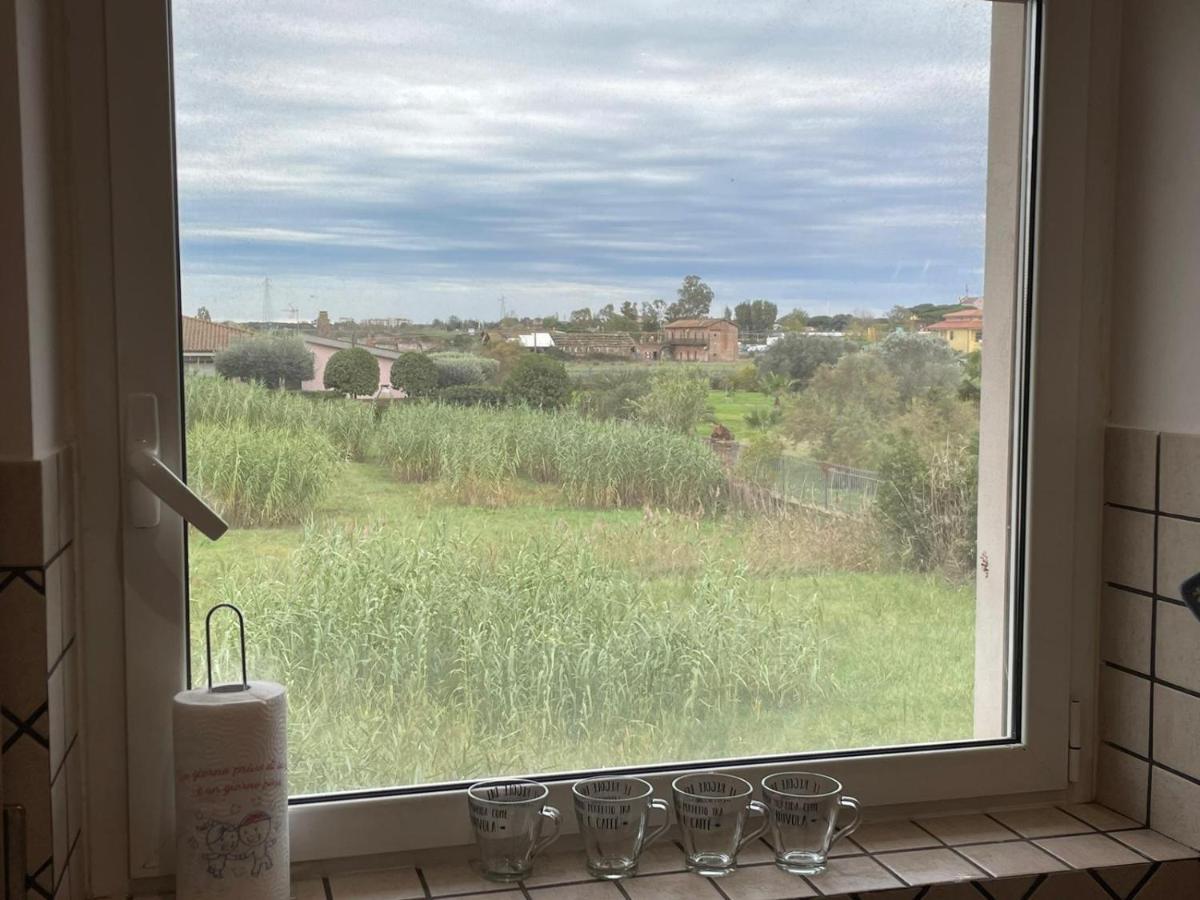 Casa Orchidea * Fiumicino